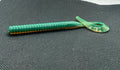 7” Ribbontail Worm - Motor Oil