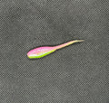 2” Minnow - Electric Chicken